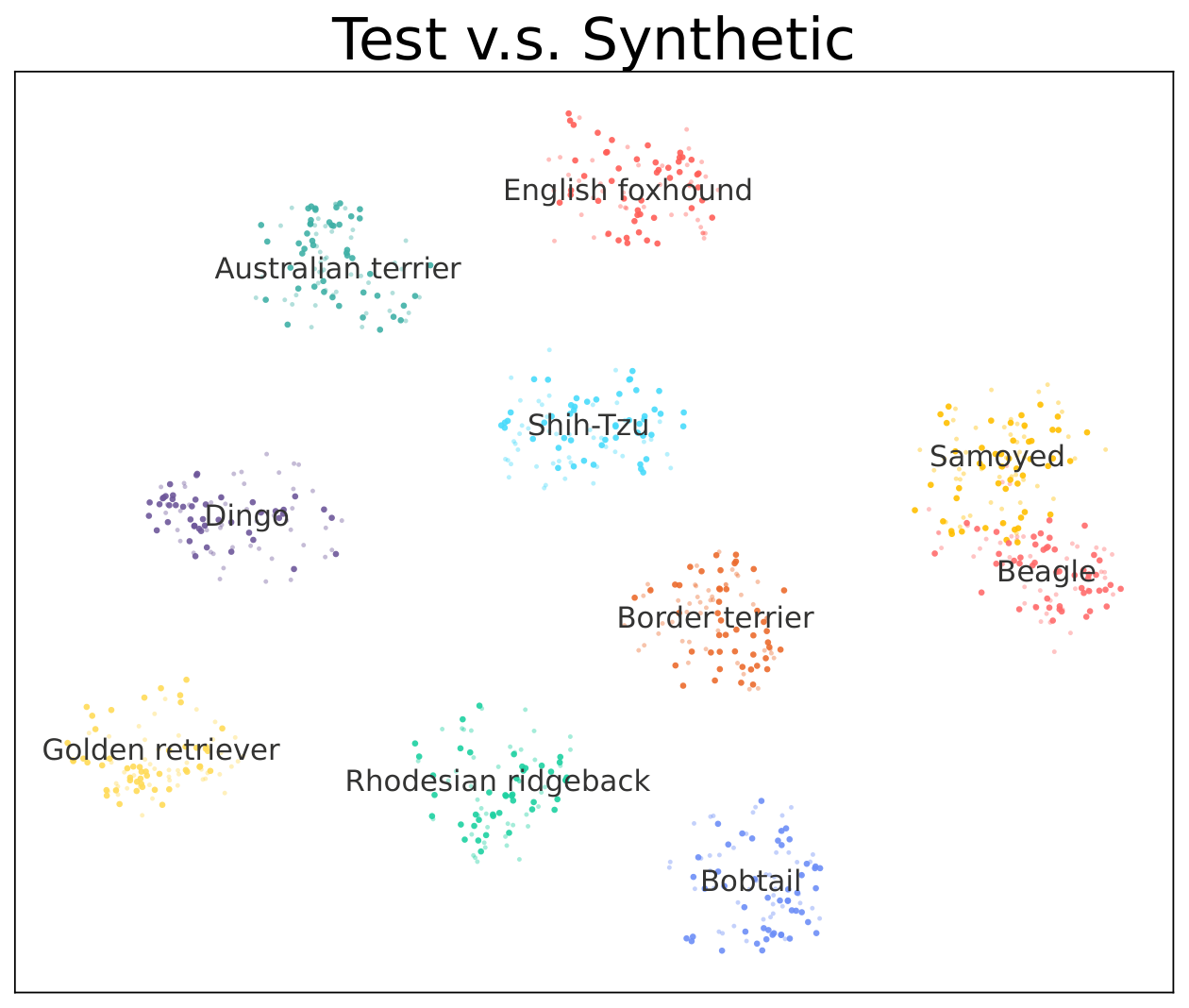 Figure 5 ImageWoof test t-SNE.