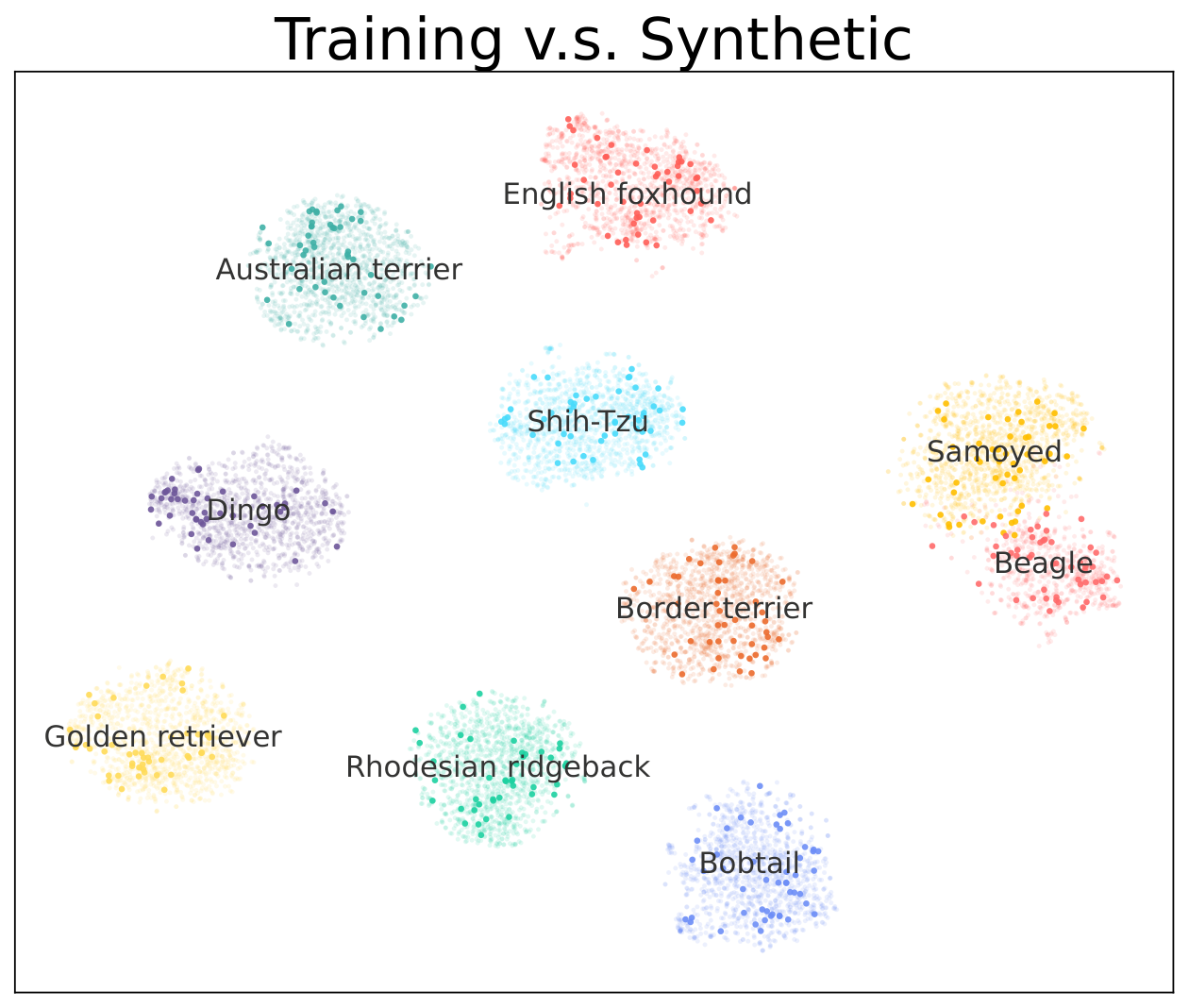Figure 5 ImageWoof training t-SNE.